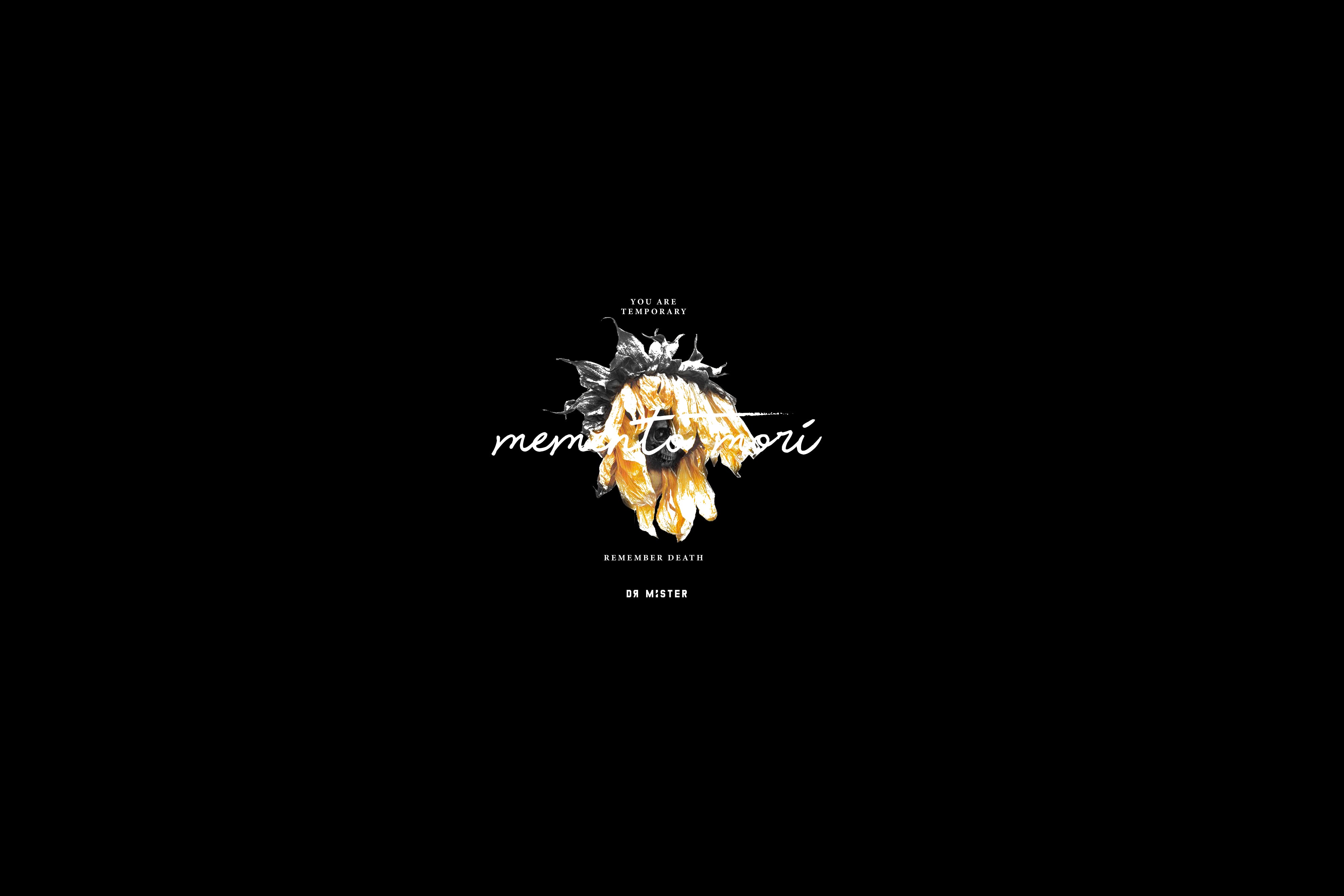 DR MISTER Art Wallpapers