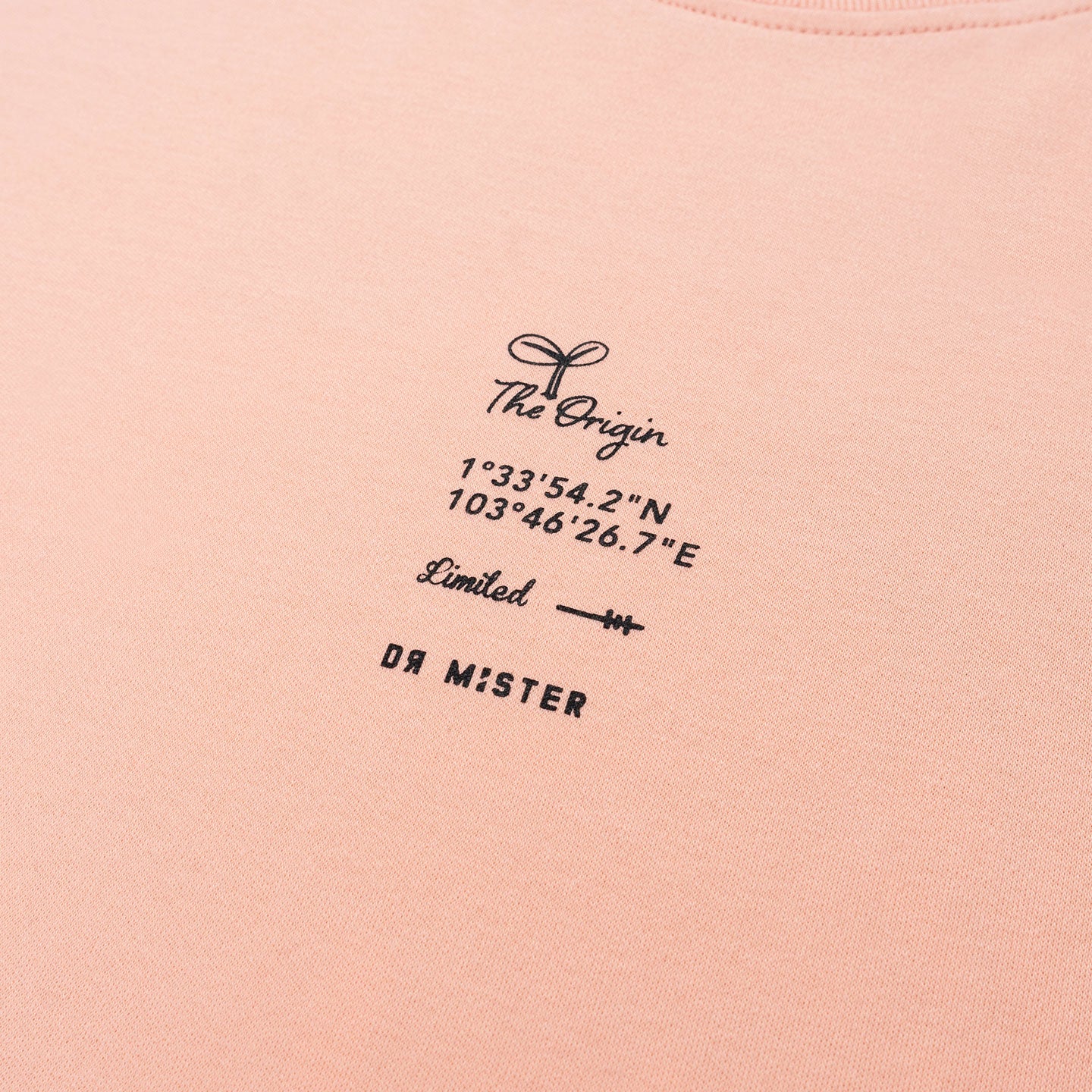 Sprout Oversized Tee - Salmon Pink (Limited)